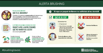 brushing.jpg