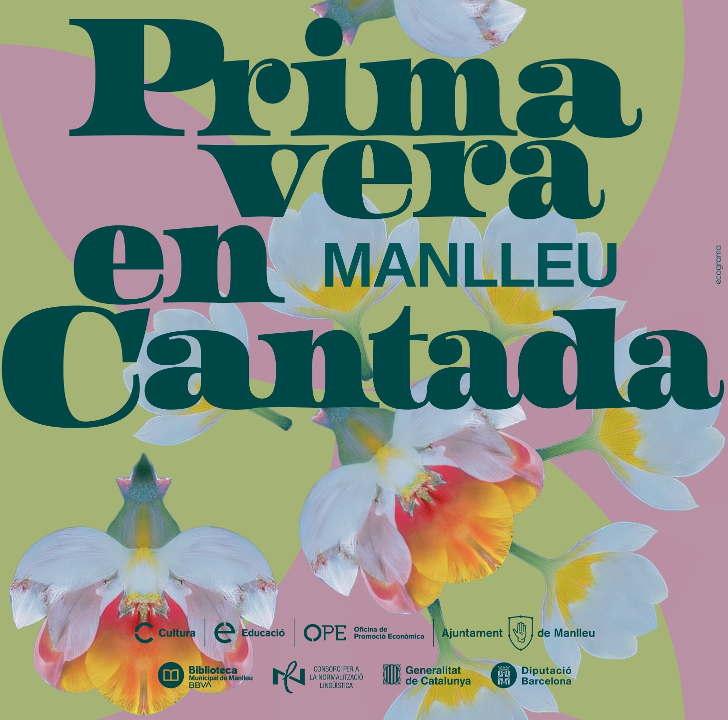 capçalera Primavera1.jpg
