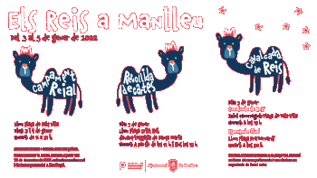 imatge_reis.png