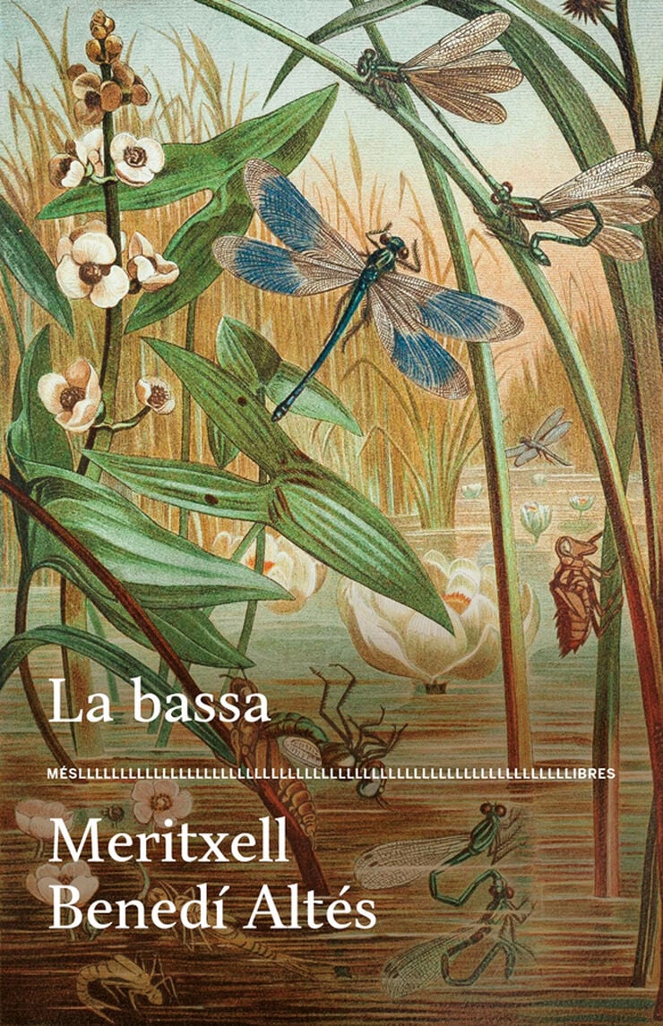 Llibre la bassa