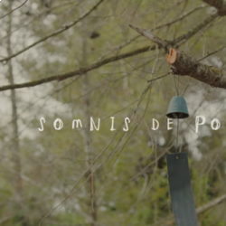 8M Somnis de poetesses