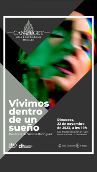 Cartell ponència Sabrina Rodriguez 22.11