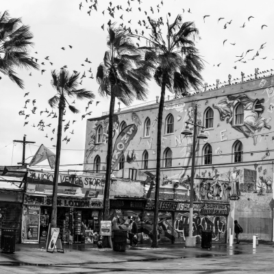 2022 PANORAMA VENICE 35x18.jpg