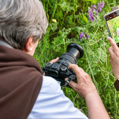 2025-05-17-sortida-fotografica-botanica-91.jpg