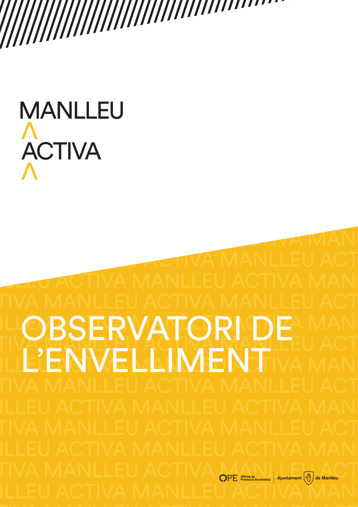 vf - OBSERVATORI ENVELLIMENT_mostra5.jpg